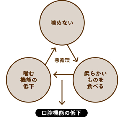 口腔機能低下すると衰えの悪循環に